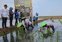 Bupati Batang, Faiz Kurniawan, menyebut pengembangan bio salin merupakan bentuk adaptasi terhadap perubahan kondisi lingkungan sekaligus memberikan harapan baru bagi para petani di wilayah pesisir, Selasa (16/6/26).