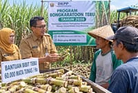 Pemerintah Kabupaten Pekalongan mempercepat program peremajaan kebun melalui Program Bongkar Ratoon Tebu 2026 dan bantuan bibit kepada petani, Selasa (14/7/26). Foto : Ilustrasi AI